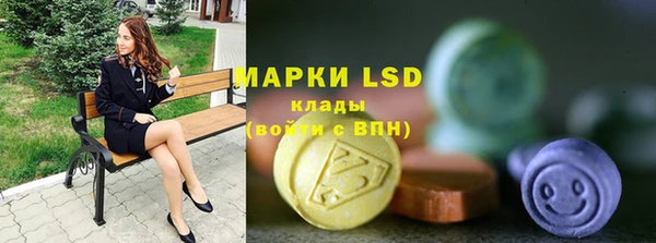индика Абаза