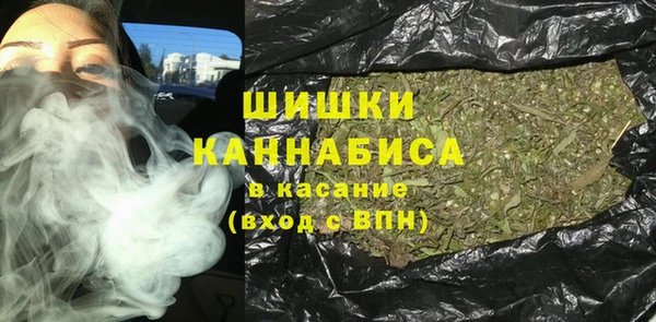 мдпв Осинники