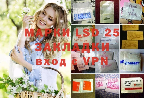 индика Абаза