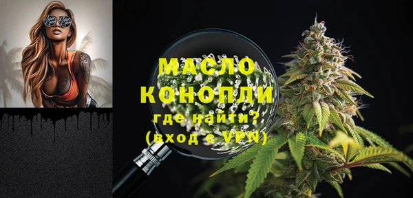 индика Абаза