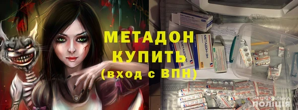 индика Абаза