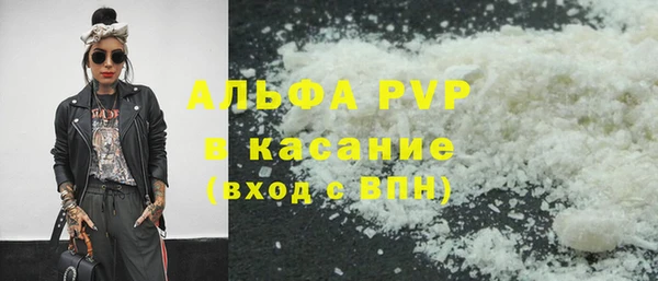 индика Абаза