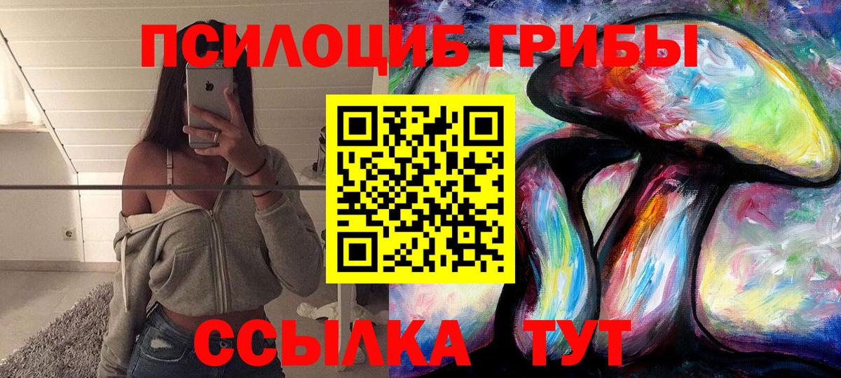 Псилоцибиновые грибы MAGIC MUSHROOMS Сокол