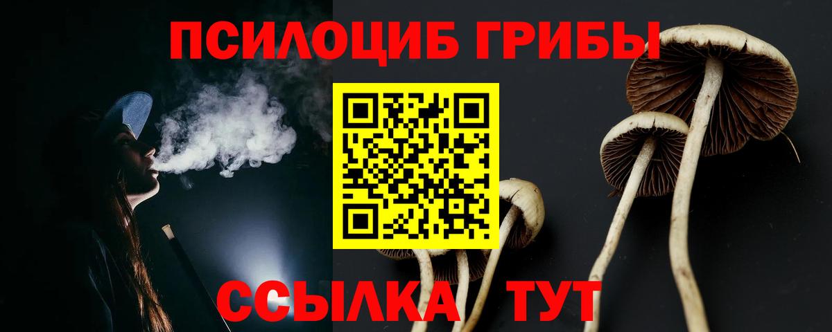 Галлюциногенные грибы мухоморы  наркота  Сокол  Вход с VPN  Псилоцибиновые грибы MAGIC MUSHROOMS 