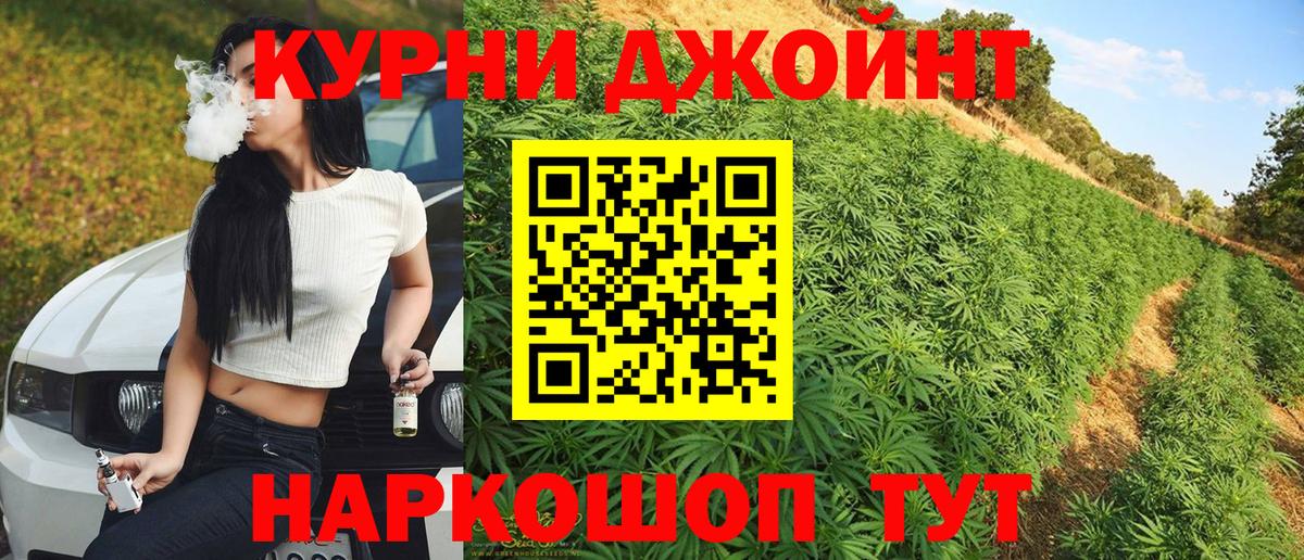 Каннабис план Сокол